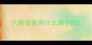 六联疫苗有什么牌子的