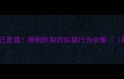 哈士奇以为自己是猫萌到炸裂的拟猫行为合集附训练攻略