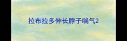 拉布拉多伸长脖子喘气