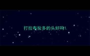 打拉布拉多的头好吗