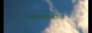 瑞鹏宠物医院怎样