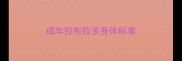 成年拉布拉多身体标准