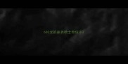 600元的家养哈士奇信不