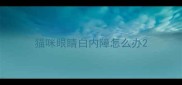 猫咪眼睛白内障怎么办