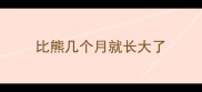 比熊几个月就长大了