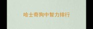 哈士奇狗中智力排行