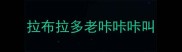 拉布拉多老咔咔咔叫
