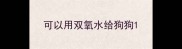 可以用双氧水给狗狗