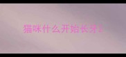 猫咪什么开始长牙