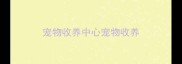 宠物收养中心宠物收养