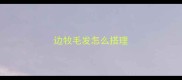 边牧毛发怎么搭理