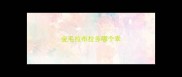 金毛拉布拉多哪个乖