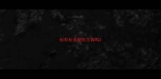 拉布拉多能吃元宵吗