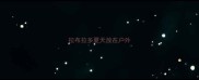 拉布拉多夏天放在户外