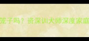 哈士奇需要笼子吗资深训犬师深度家庭饲养全攻略