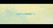 狗狗耳垢和耳螨区别