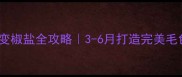雪纳瑞变椒盐全攻略3-6月打造完美毛色秘籍