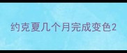 约克夏几个月完成变色