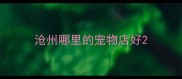 沧州哪里的宠物店好