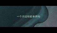 一个月边牧能单养吗
