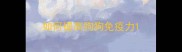 如何提高狗狗免疫力