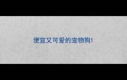 便宜又可爱的宠物狗