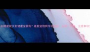 岳阳哪里能买到健康宠物狗最新宠物狗市场攻略品种价格注意事项全