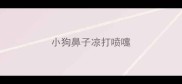 小狗鼻子凉打喷嚏