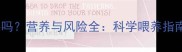 狗狗能吃鸡架吗营养与风险全科学喂养指南与禁忌清单