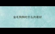 金毛狗狗吃什么肉最好