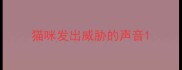 猫咪发出威胁的声音