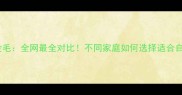 哈士奇VS金毛全网最全对比不同家庭如何选择适合自己的犬种