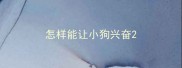 怎样能让小狗兴奋