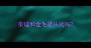 泰迪和金毛能共处吗