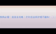 狗狗必看疫苗全攻略打针后这样护理不翻车