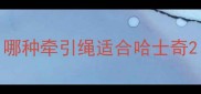 哪种牵引绳适合哈士奇