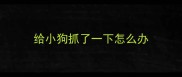 给小狗抓了一下怎么办