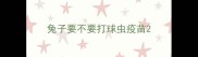 兔子要不要打球虫疫苗
