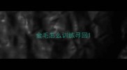 金毛怎么训练寻回