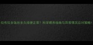 拉布拉多饭后多久排便正常科学喂养指南与异常情况应对策略