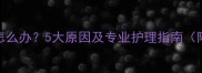 泰迪犬脚臭怎么办5大原因及专业护理指南附清洁配方