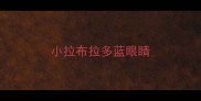 小拉布拉多蓝眼睛
