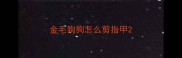 金毛狗狗怎么剪指甲