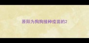 原阳为狗狗接种疫苗的