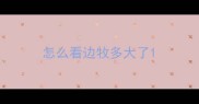 怎么看边牧多大了
