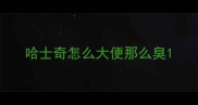 哈士奇怎么大便那么臭