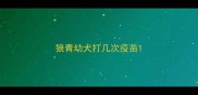 狼青幼犬打几次疫苗
