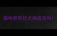 猫咪抓伤狂犬病疫苗吗