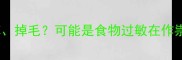 猫咪突然疯狂抓痒掉毛可能是食物过敏在作祟附专业护理指南