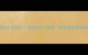 泰迪犬吐食的10大原因及应对措施附紧急处理指南
